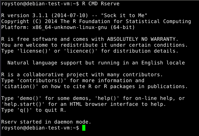 Rserve-cmdline-start.png